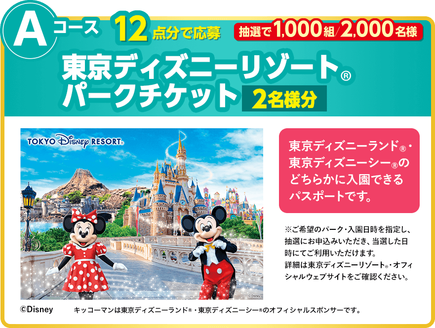 Aコース：東京ディズニーリゾート®︎パークチケット