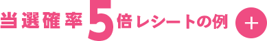 当選確率5倍のレシートの例