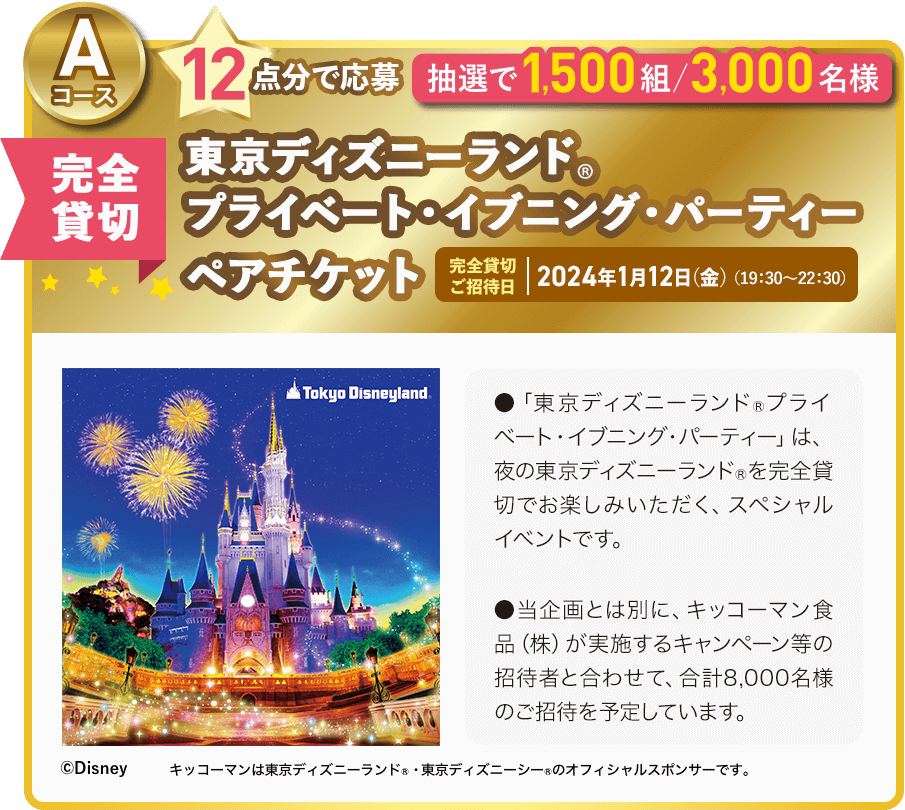 Aコース：東京ディズニーランド®︎︎プライベート・イブニング・パーティペアチケット