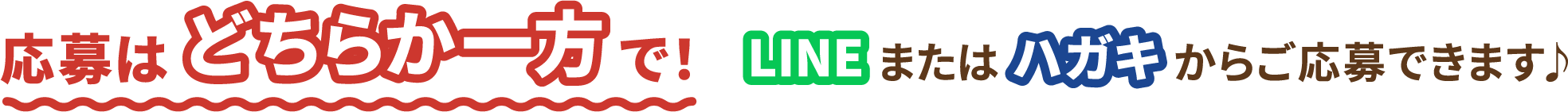 応募はどちらか一方で！　LINEまたはハガキからご応募できます