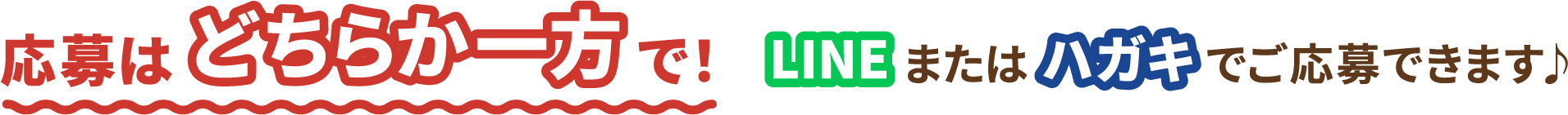 応募はどちらか一方で！　LINEまたはハガキでご応募できます