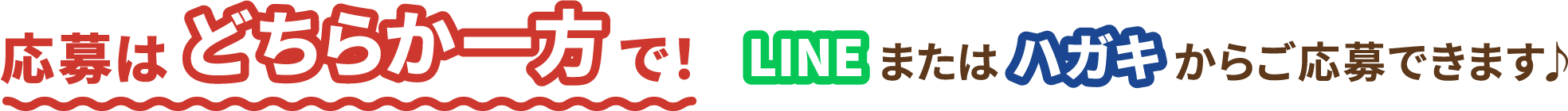 応募はどちらか一方で！　LINEまたはハガキからご応募できます