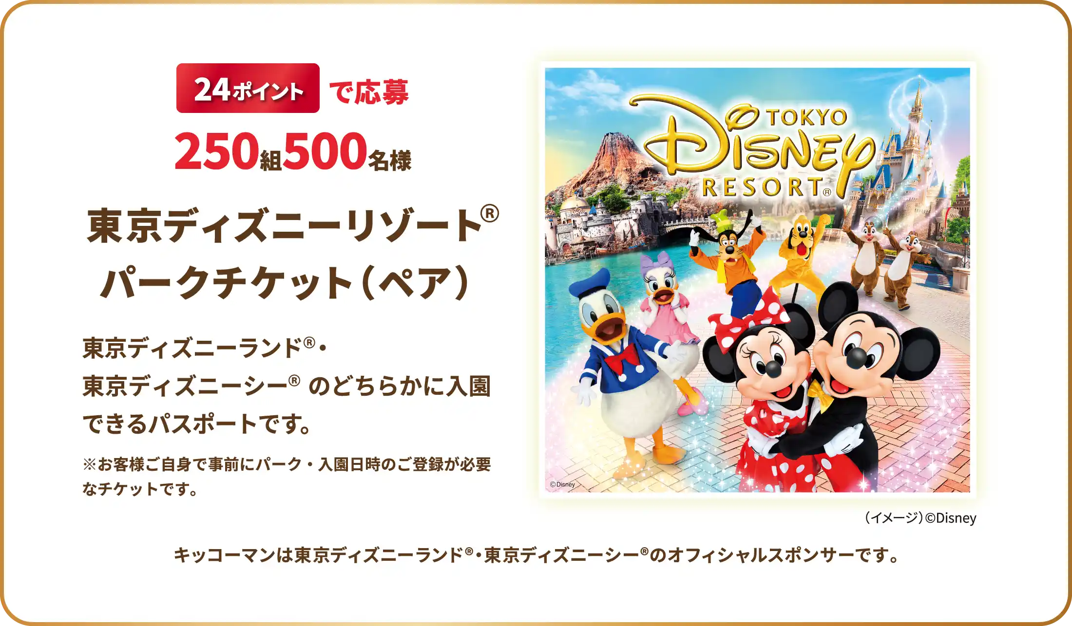 東京ディズニーリゾート　パークチケット（ペア）
