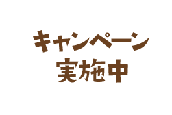 キャンペーン実施中