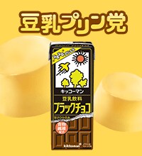 豆乳飲料ブラックチョコ