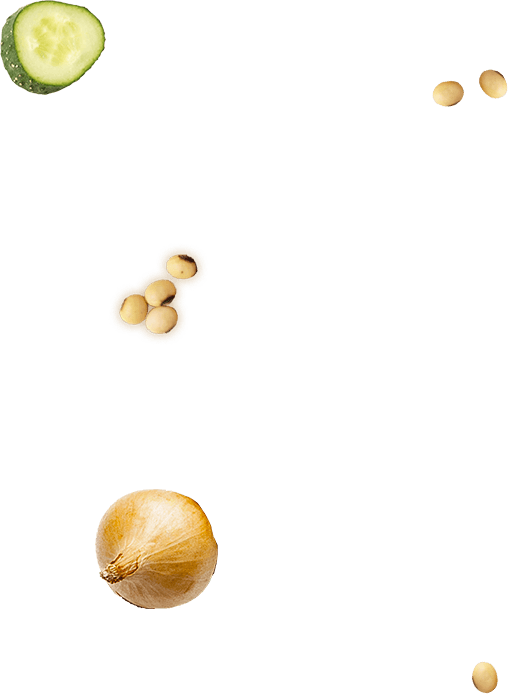 washoku bg
