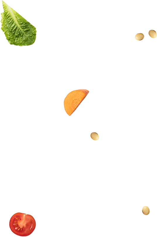 youshoku bg