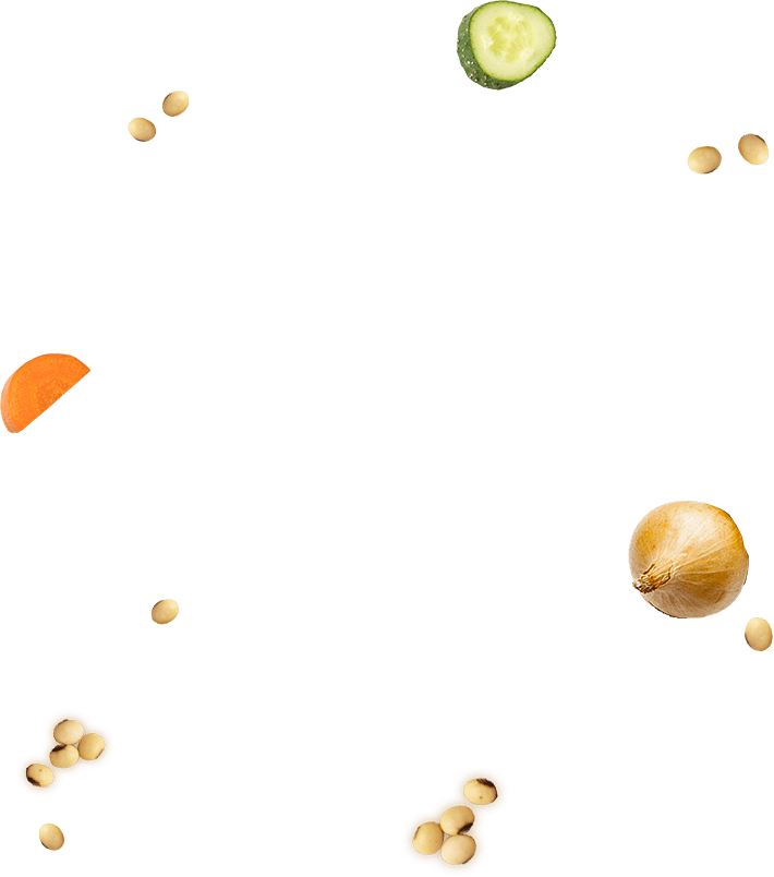 yasai