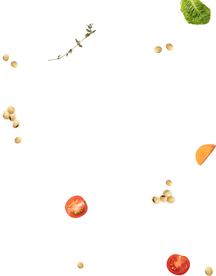 yasai