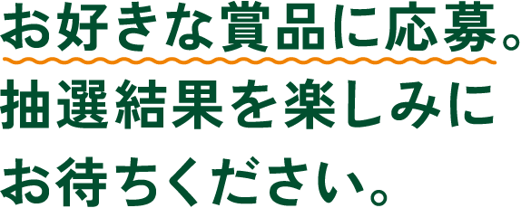 お好きな賞品に応募。抽選結果を楽しみにお待ちください。