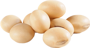 soybeans
