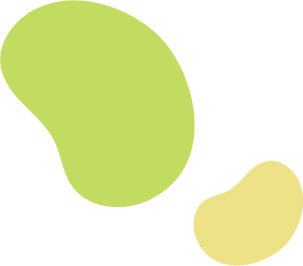 豆