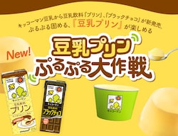 豆乳を冷やし固めて楽しむ、『豆乳プリン』の特設サイト『豆乳プリン ぷるぷる大作戦』公開